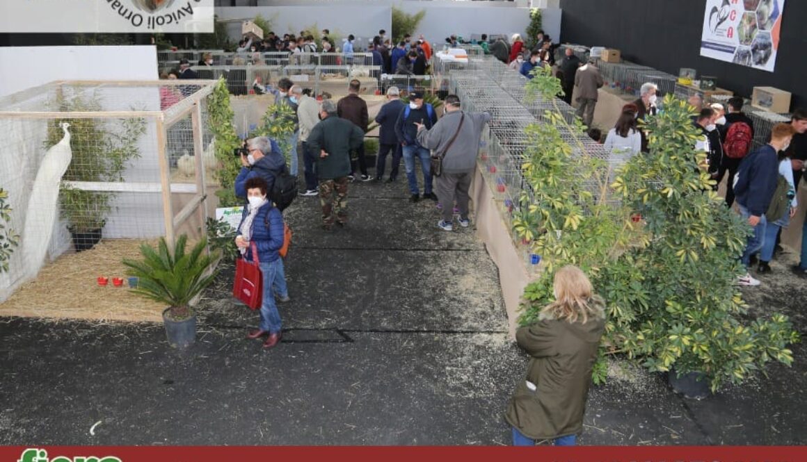 fiera-agricola-10-12marzo-2023 fiera-agricola-10-12marzo-2023