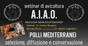 webinar-rid