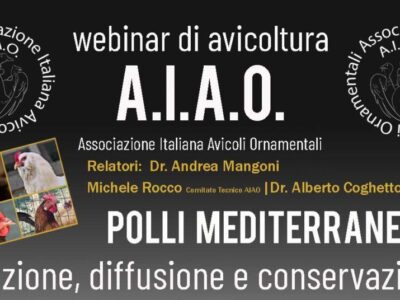 webinar-rid