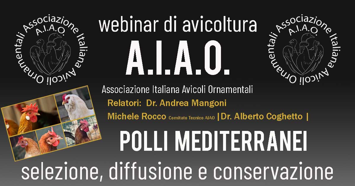 webinar-rid