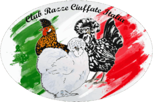 club-razze-ciuffate