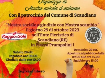 FB_IMG_1695476103227