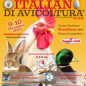 LOCANDINA-CAMPIONATI-2023-BIg-1