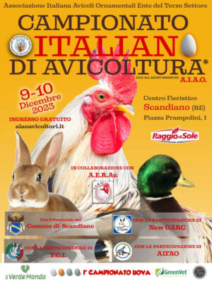 LOCANDINA-CAMPIONATI-2023-BIg-1