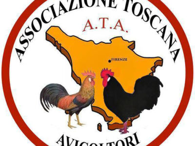 ata