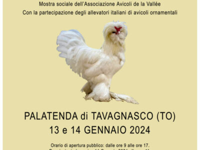MostraAvicola2024