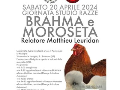 giornatastudio
