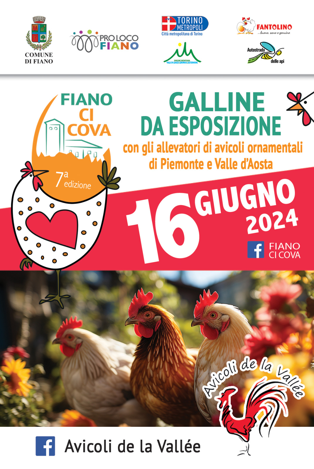 FIano-ci-Cova-2024
