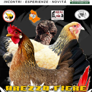 locandina-arezzo-2024