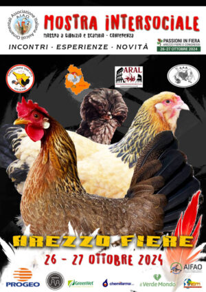 locandina-arezzo-2024