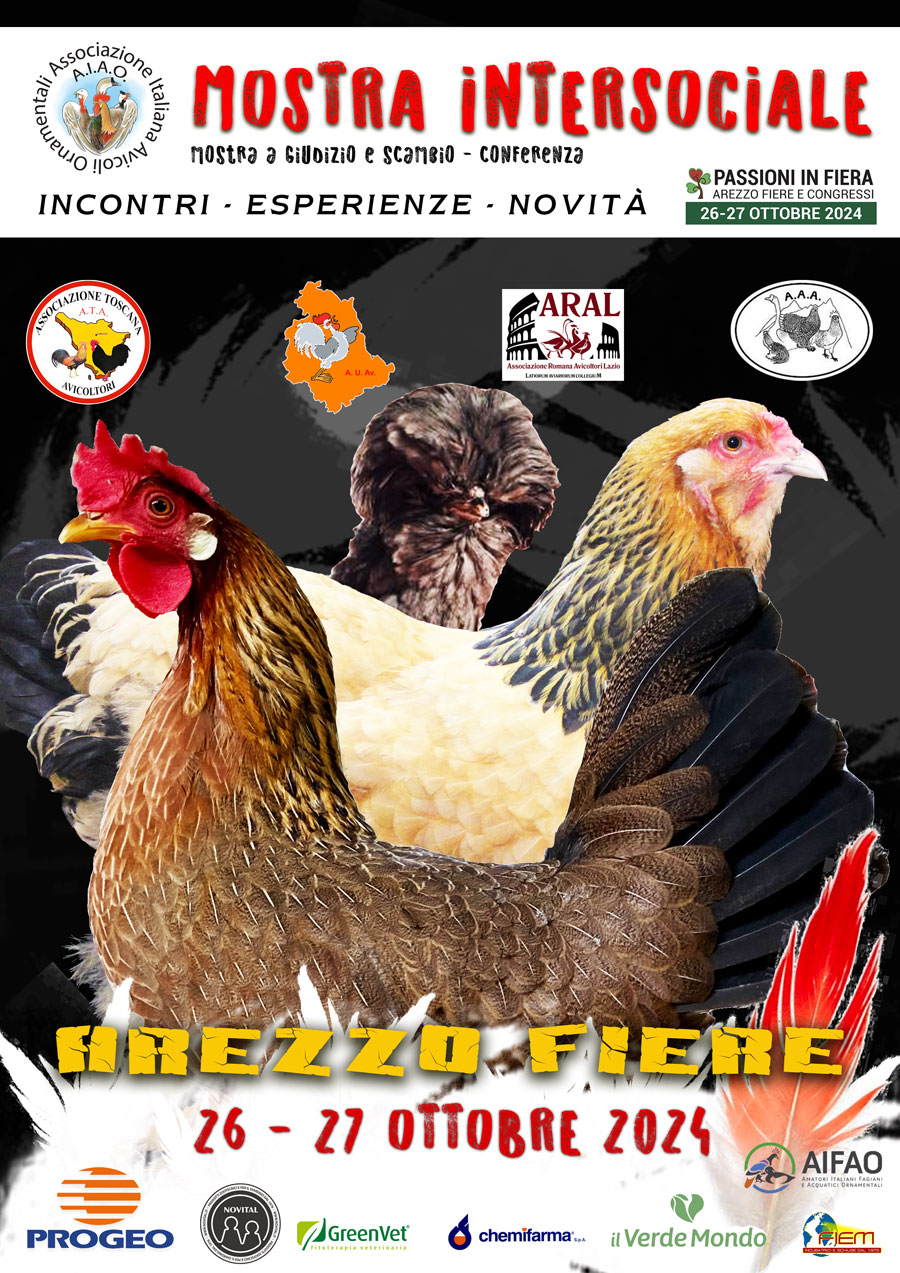 locandina-arezzo-2024