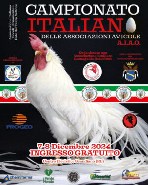 Campionnati2024-3