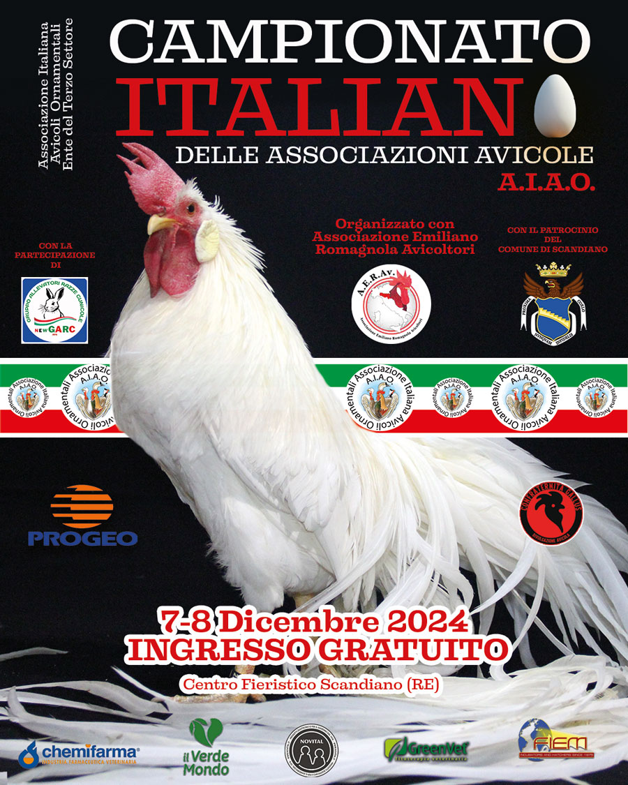 Campionnati2024-3