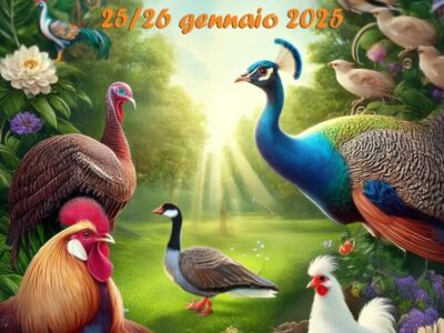 472313925_954567946599330_3538956936589162615_n 472313925_954567946599330_3538956936589162615_n