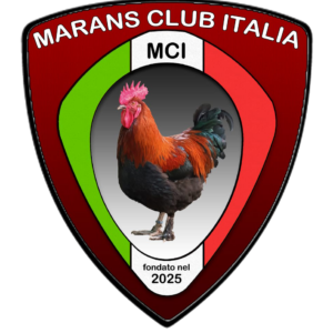 logo-club-araucana