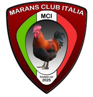 logo-club-araucana