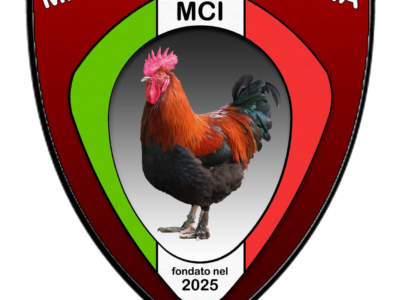 logo-club-araucana