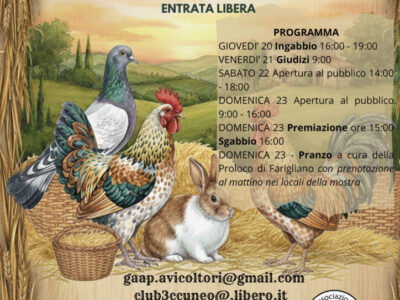 MOSTRA-INTERSOCIALE-AVICOLOMBOFILA-2-2025 MOSTRA-INTERSOCIALE-AVICOLOMBOFILA-2-2025