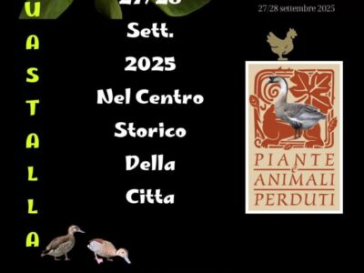 aerav-set-2025 aerav-set-2025