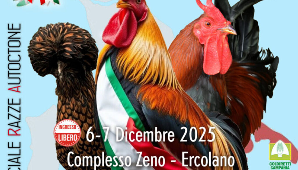 locandina-campionati2025