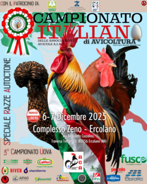 locandina-campionati2025
