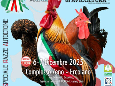 locandina-campionati2025 locandina-campionati2025