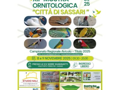 566755905_17983802627876203_4355771543885783432_n