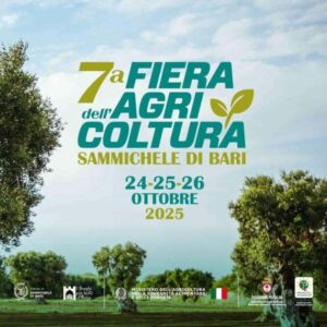 WhatsApp Image 2025-10-19 at 13.21.44