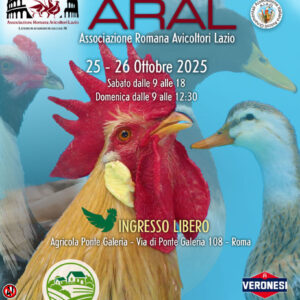 locandina3