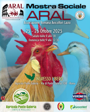 locandina3