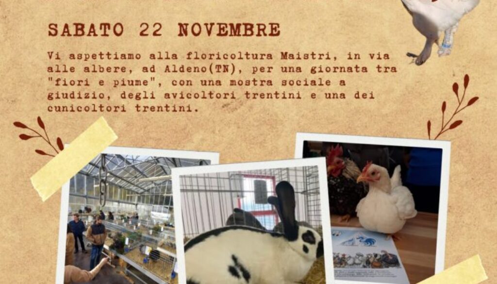 WhatsApp Image 2025-11-12 at 14.22.50