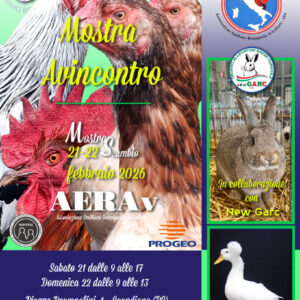 aerav-feb-2026