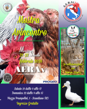 aerav-feb-2026