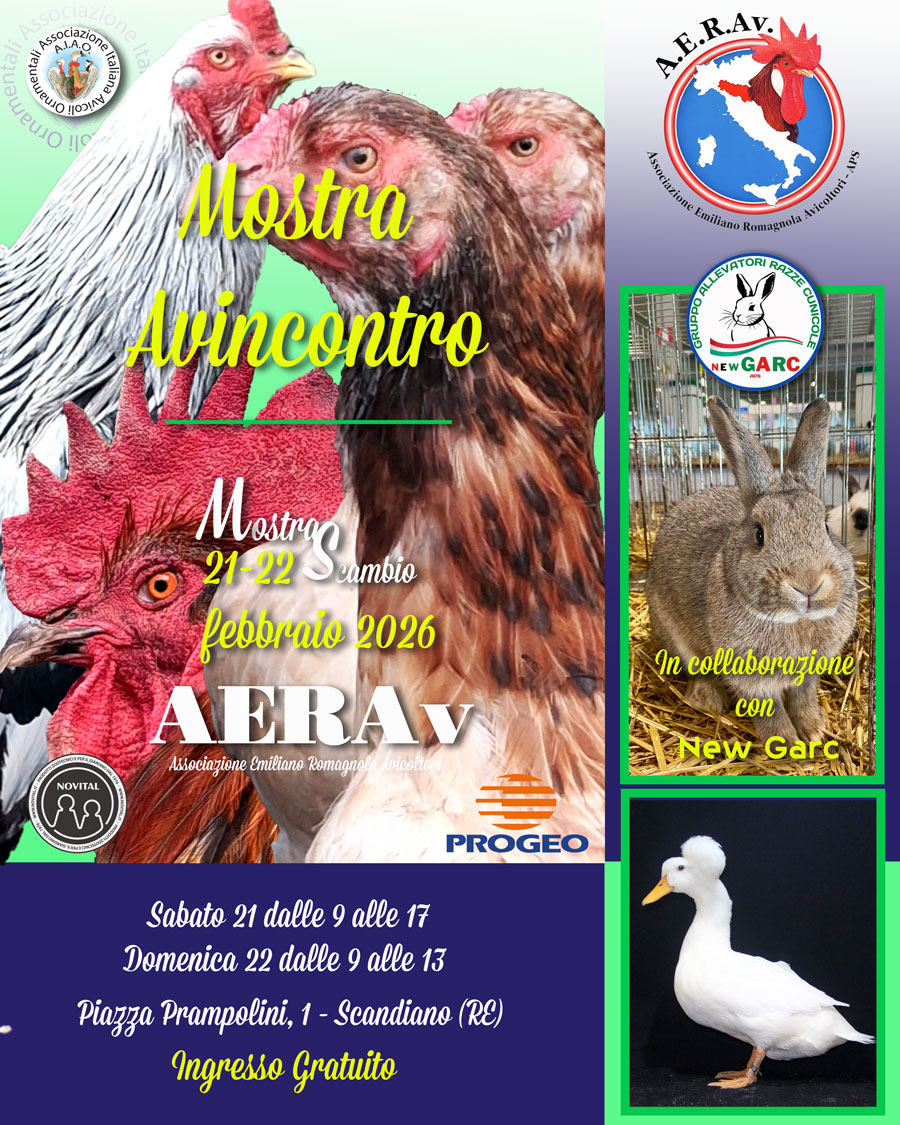 aerav-feb-2026
